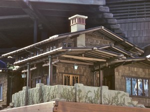 Creeping thyme detail