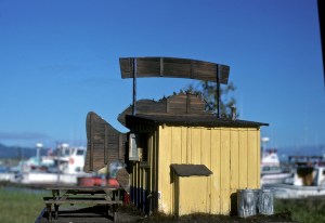 Rear view with wine bottle lead garbage cans